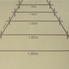 �perspectiva